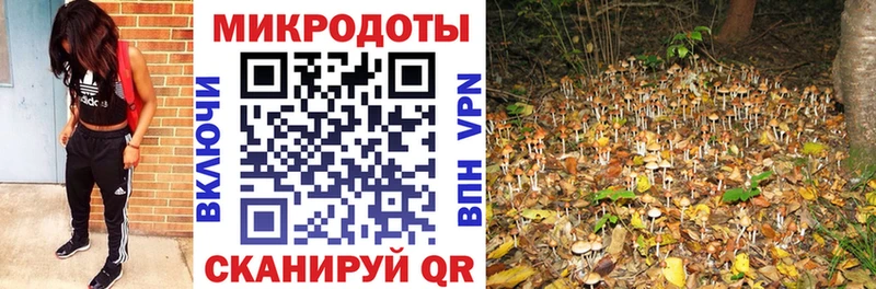 Псилоцибиновые грибы прущие грибы  Заозёрный 